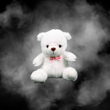 REM Teddy