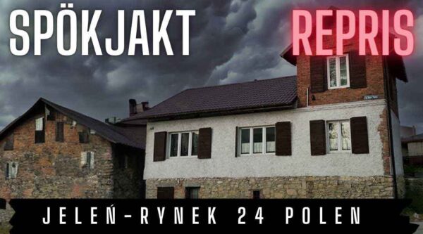 Jeleń-Rynek 24 Polen – (repris 29/10 - 2022)