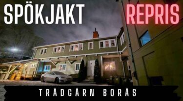 Trädgårn Borås repris från 9 dec 2023
