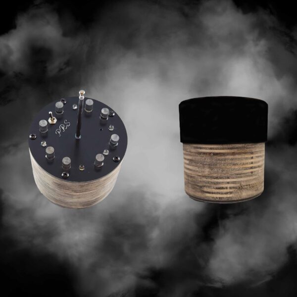 Paranormal REM Static - PRS och Skyddslock